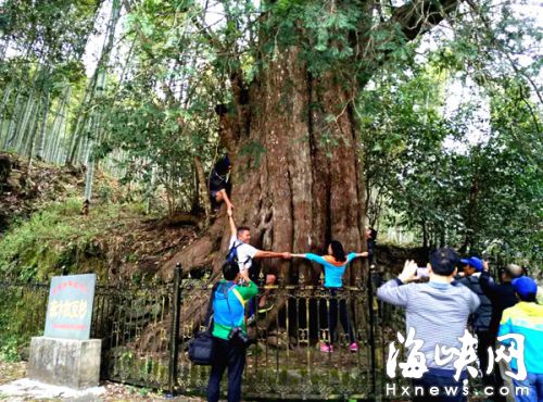 Dl(f)F(xin)ȫҰtɼλ˷ܭh(hun)