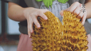 榴蓮剝好肉后，搗成泥狀。