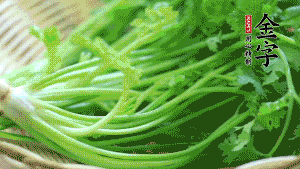 挑選鮮嫩的香菜，洗干凈后，處理成小段。