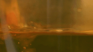 雞肉、鹽、料酒入冷水鍋水開后撇去浮沫，溫水洗凈。