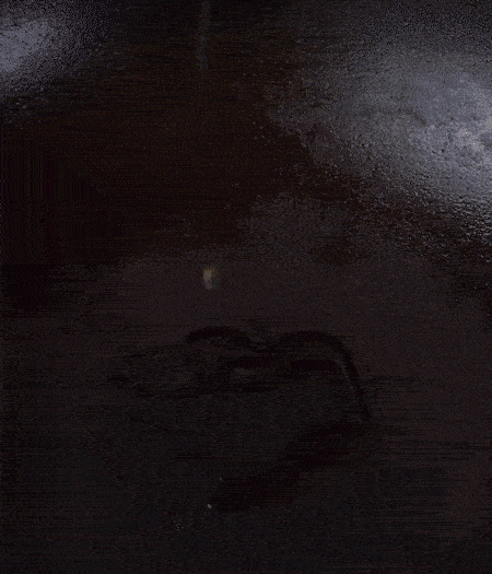 冷鍋熱油，下蒜片爆香，下香腸、玉米筍、蓮藕、西芹爆炒，期間加點(diǎn)水，翻炒1分鐘后加新鮮百合片，翻炒30秒。