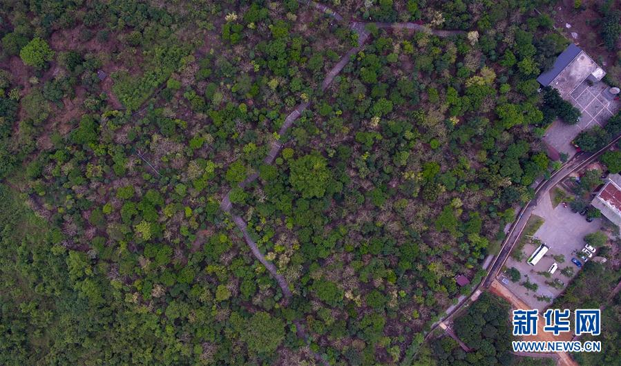 (hu)3ʩ裺ɫa(chn)I(y)