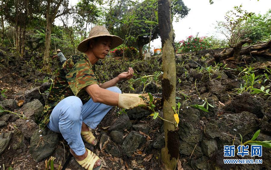 (hu)5ʩ裺ɫa(chn)I(y)