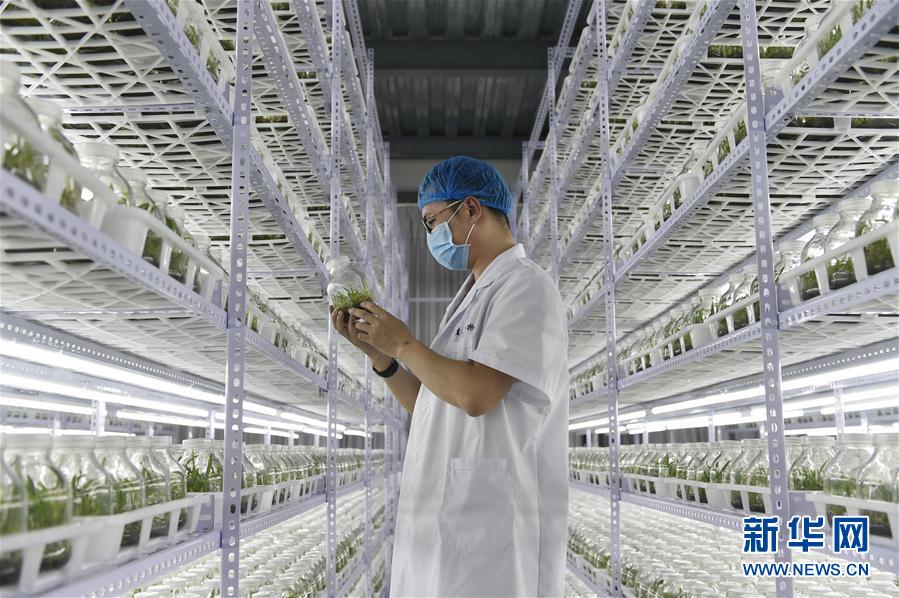 (hu)7ʩ裺ɫa(chn)I(y)