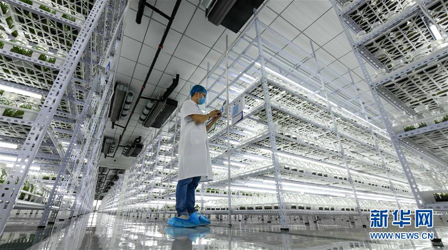 (hu)9ʩ裺ɫa(chn)I(y)