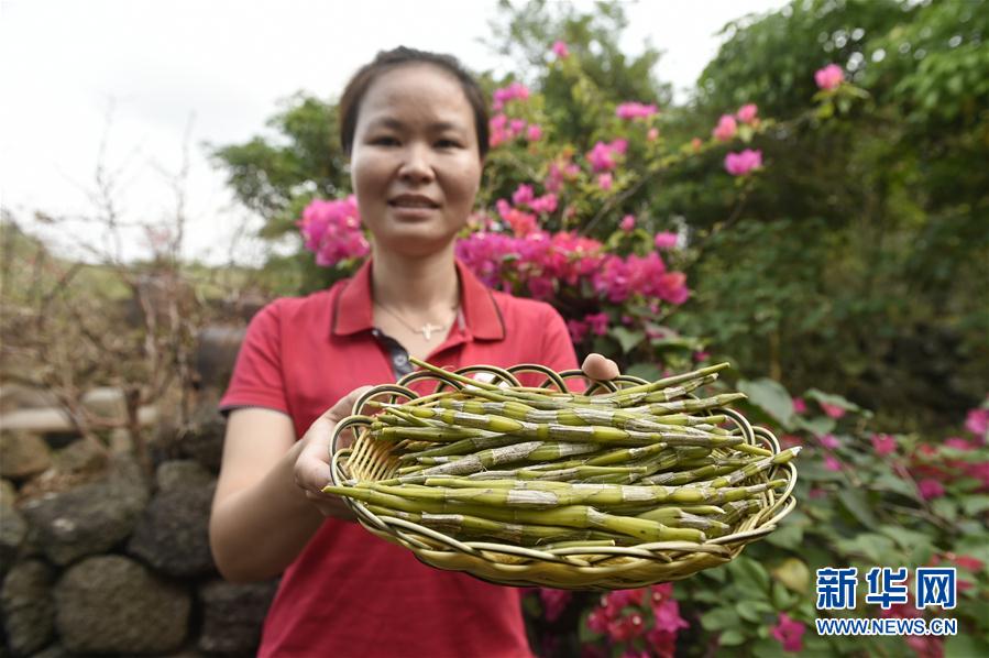 (hu)11ʩ裺ɫa(chn)I(y)