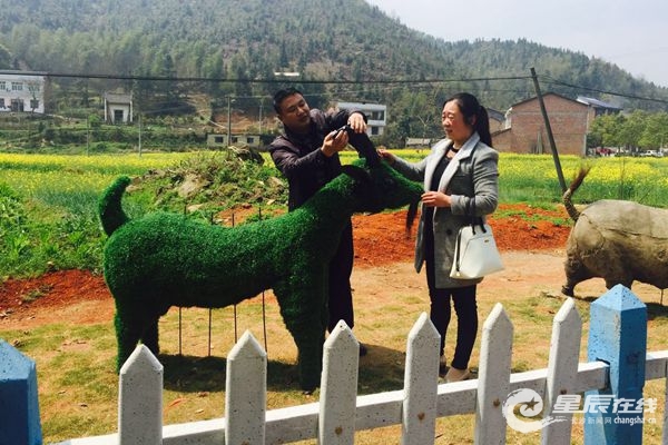 f(xi)(hu)־Ը(lin)j(lu)gˇT(chung)ĴՁ(li)ͨƳɹˇƷ