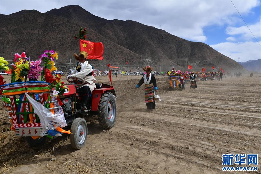 (社會)(8)西藏:載歌載舞迎開耕 (社會)(8)西藏:載歌載舞迎開耕